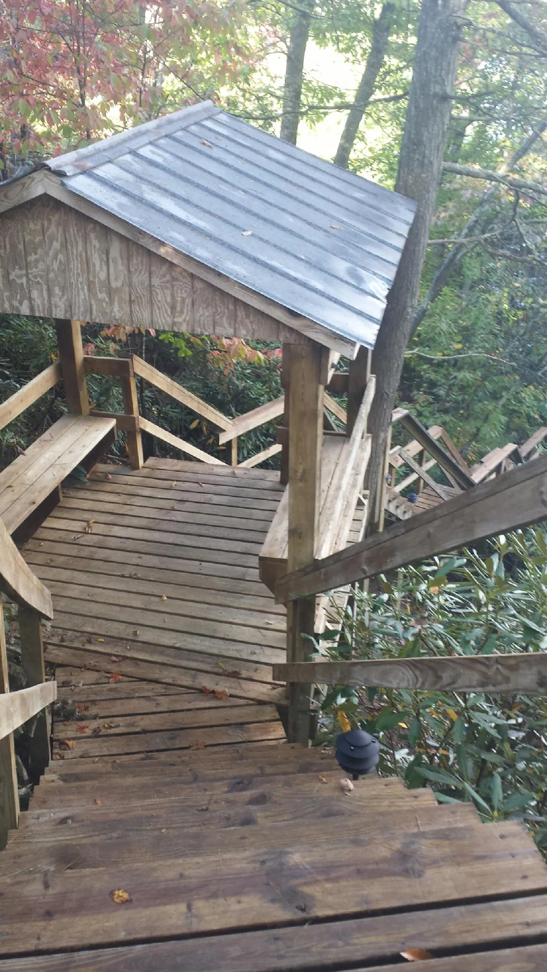 Metal roofed shelter over wooden steps on a wooded walkway in Los Banos